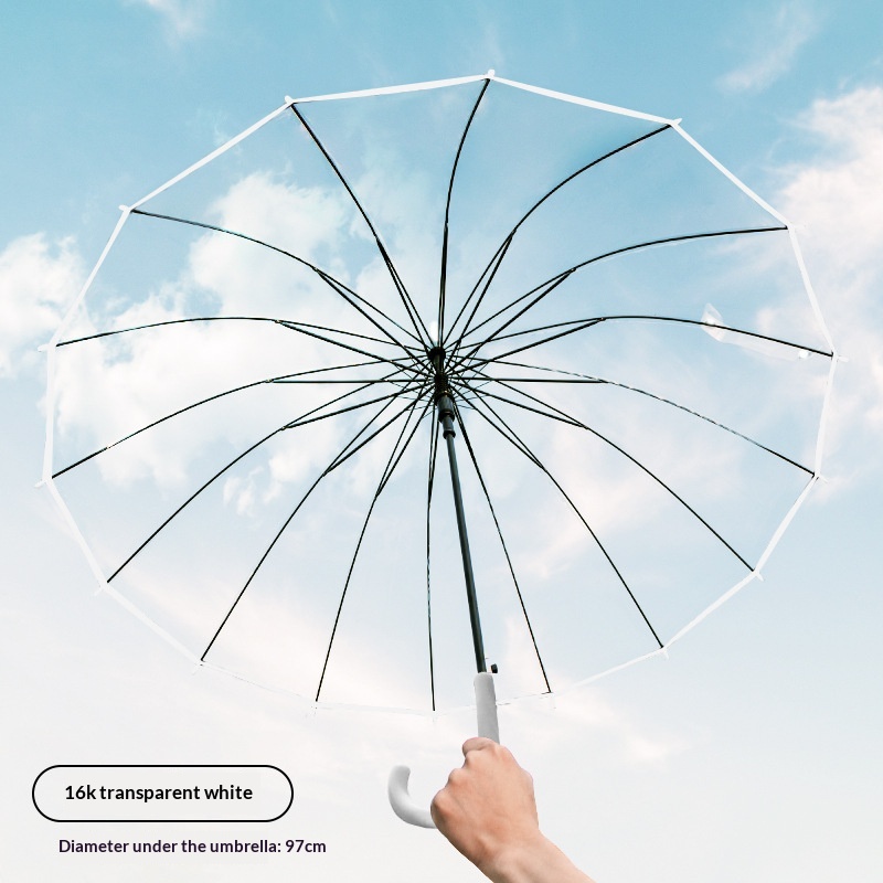한 쌍의 투명 대형 방풍 롱 핸들 우산 8/16본 우산 - Golf Umbrella Large 리뷰 및 가격